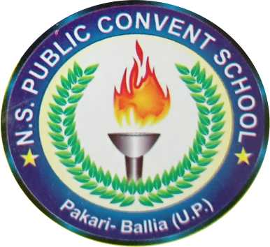 N.S.PUBLIC CONVENT SCHOOL